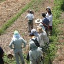 이윤 농장 이미지