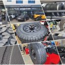 알파카정비 이미지