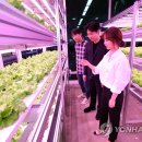 메트로 통신 이미지