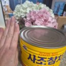 큰손참치 이미지