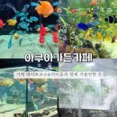 가평 가볼만한곳 내돈내산 아쿠아가든카페 솔직후기