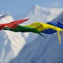 지상 행정사 사무소 이미지