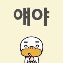 광안4-208 | 2026 새해 근황