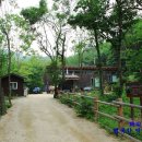 곰배령새소리 이미지