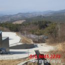 안심리 네이버블로그