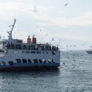 루비관광호텔월미도 | 인천 아이랑 가볼만한 곳 차이나타운 맛집 월미도 크루즈 내돈내산 후기