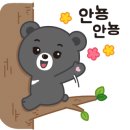 북비산약국 이미지