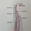 춘양삼성의원 이미지