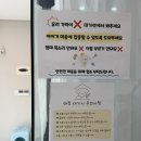 다온그루밍 | 실시간 CCTV 확인 가능한 서울 애견 미용실, 다온 그루밍