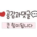 오리샤브엔야채불고기 네이버블로그