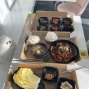 율생중앙로 | 김포 애견카페 내돈내산 후기｜야외 운동장 있는 대형 애견카페 ‘오늘도 난 삐딱하개’