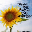 좋은인연 이미지