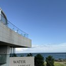 부산의 체온(미디어 | 부산 아난티 앳 코브-워터하우스, 맥퀸즈그릴바, 다모임 조식 이용 후기 / 20개월 아기랑 함께