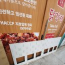 분당유리