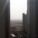 묵향 담은 한문서예 이미지