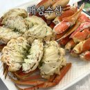 대성아트빌라 | 창원 도계동 대게맛집 신선한 대게와 킹크랩을 맛볼 수 있는, 대성수산 대게직판점 창원점