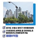 일월공인중개사사무소 이미지