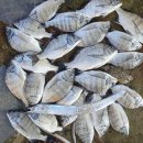 완도민박 이미지