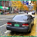 일원세차장 이미지