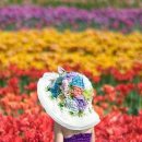 더여자 Daum카페