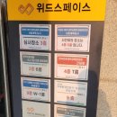 국제환경 | [GELP 17] 국제 환경전문가 양성과정 - 지원 및 면접 후기