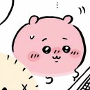 사진고