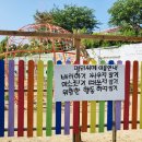 펠리시떼 | 5살 아이랑 파주 펠리시떼 다녀온 후기 (자연속 키즈카페)