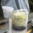 설빙수 이미지