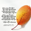 안림요양원 이미지