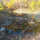 이형래 농장 이미지