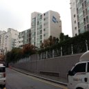 강남-252 이미지