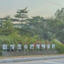 동천수변생태공원 | 충남 논산 차박 명소 탑정호 수변생태공원 화장실 O 스텔스 차박 후기