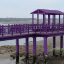 바다정원 이미지