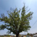 중방리 경로당 이미지