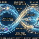 산수와유 제1부 종합 이미지