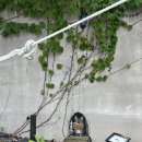 강릉제일고(버스정류장) 이미지