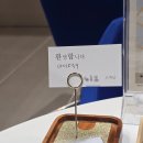 캘리그라피(동부센터) | [자동차 시승기] 현대 IONIQ 9 시승 후기, 현대 플래그십 SUV 아이오닉 9