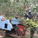 한라농장 이미지