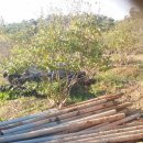 철선농장 이미지