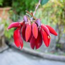 종명농장 이미지