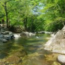 삼수온천길 | 부산 근교 아이랑 가기 좋은 물놀이장 <내원사계곡>