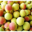 옥영농장 이미지