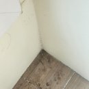 분당-228 이미지