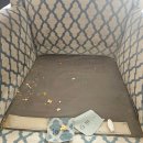 세탁1번지 | 20년 사용한 소파도 세탁 가능할까? 대구 수성구 ‘클린메이트’ 소파세탁 전/후