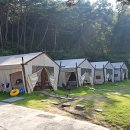 마이웨이 리조트 관광농원 이미지