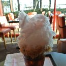 이니스테이 이미지