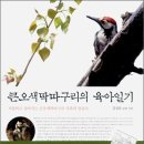 24-040. 큰오색딱따구리의 육아일기/김성호/웅진지식하우스/1쇄 2008.4.21./295면 이미지