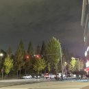 배곧코코동물병원 이미지