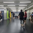 트윈스 MMA 이미지