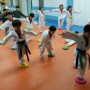 아이캡틴태권도장 이미지